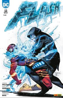 Flash 13: Der Tod und die Speed Force