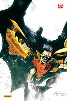 Robin & Batman: Der Weg zum Helden Hardcover